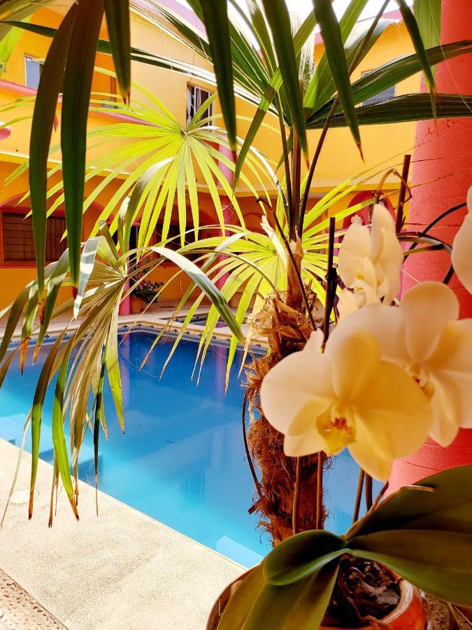 Hotel Casa Melaque سان باتريسيو ميلاكي المظهر الخارجي الصورة